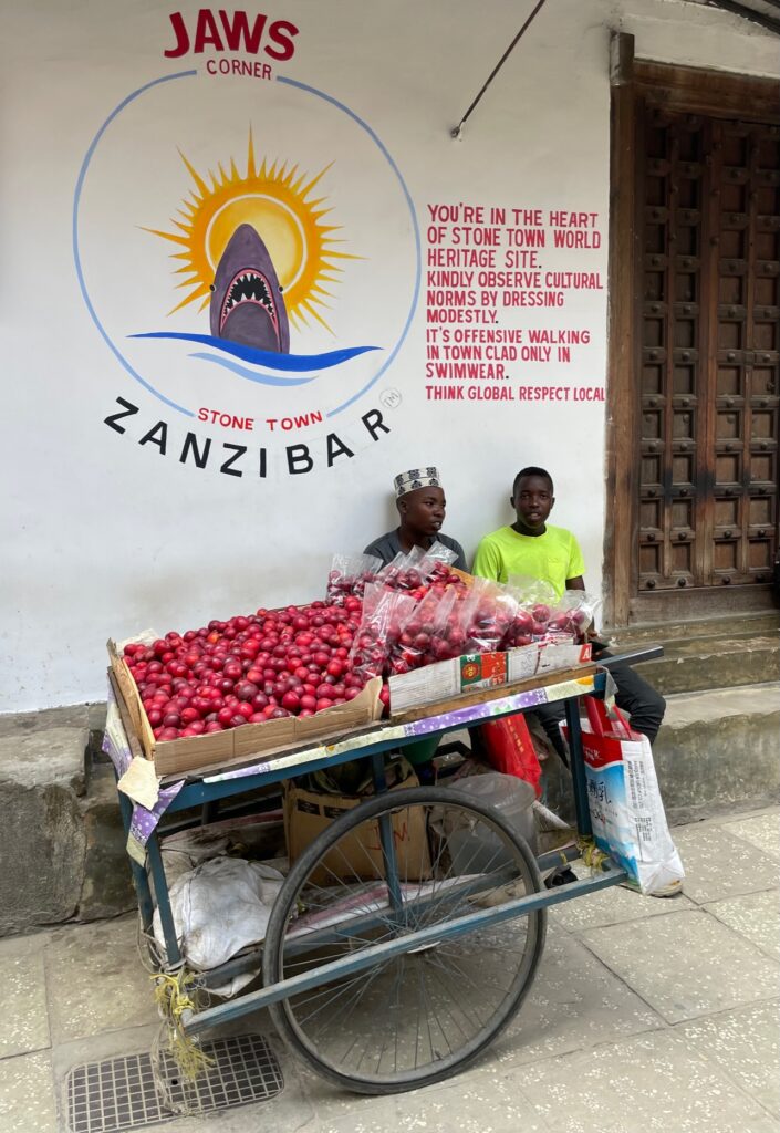 Two boys are sitting in front of a sign in Stone Town that says to dress appropriately