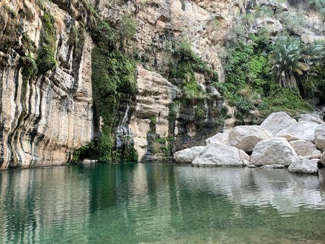 trees and unique rock formations make it enjoyable to swim in this green wadi