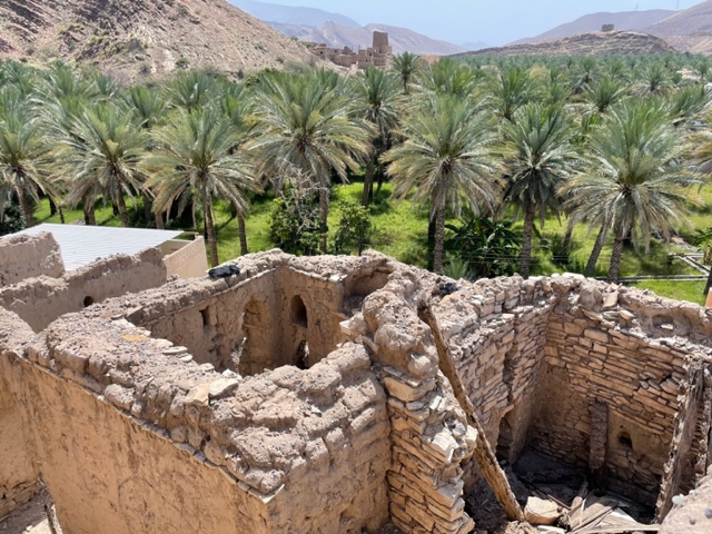 Ancient ruins and date palm trees in Birkat Al Mouz