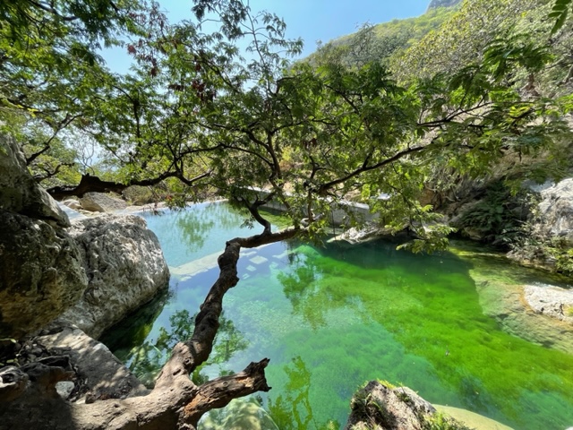 a natural water pool in Salalah