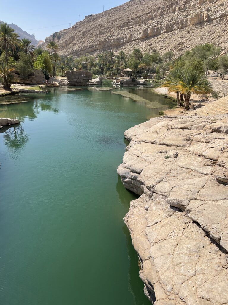 Date trees and mountains surround a green pool of water. 6 wadis to cool off in oman