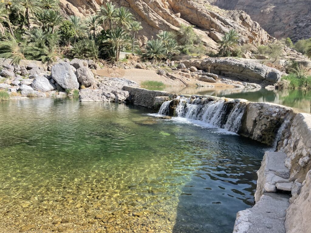 date trees are on one side of the turqouised colored pool with a small waterfall next to it. 6 wadis to cool off in Oman