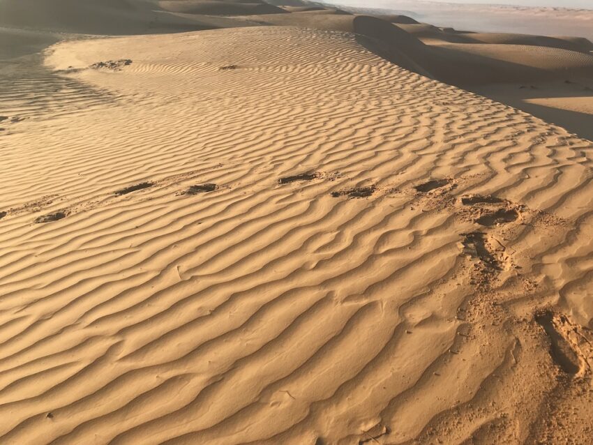 A few footprints along the rippled sand