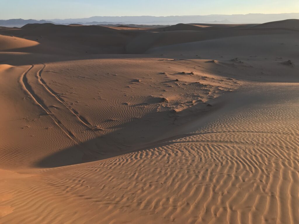 Ripples in the desert sand