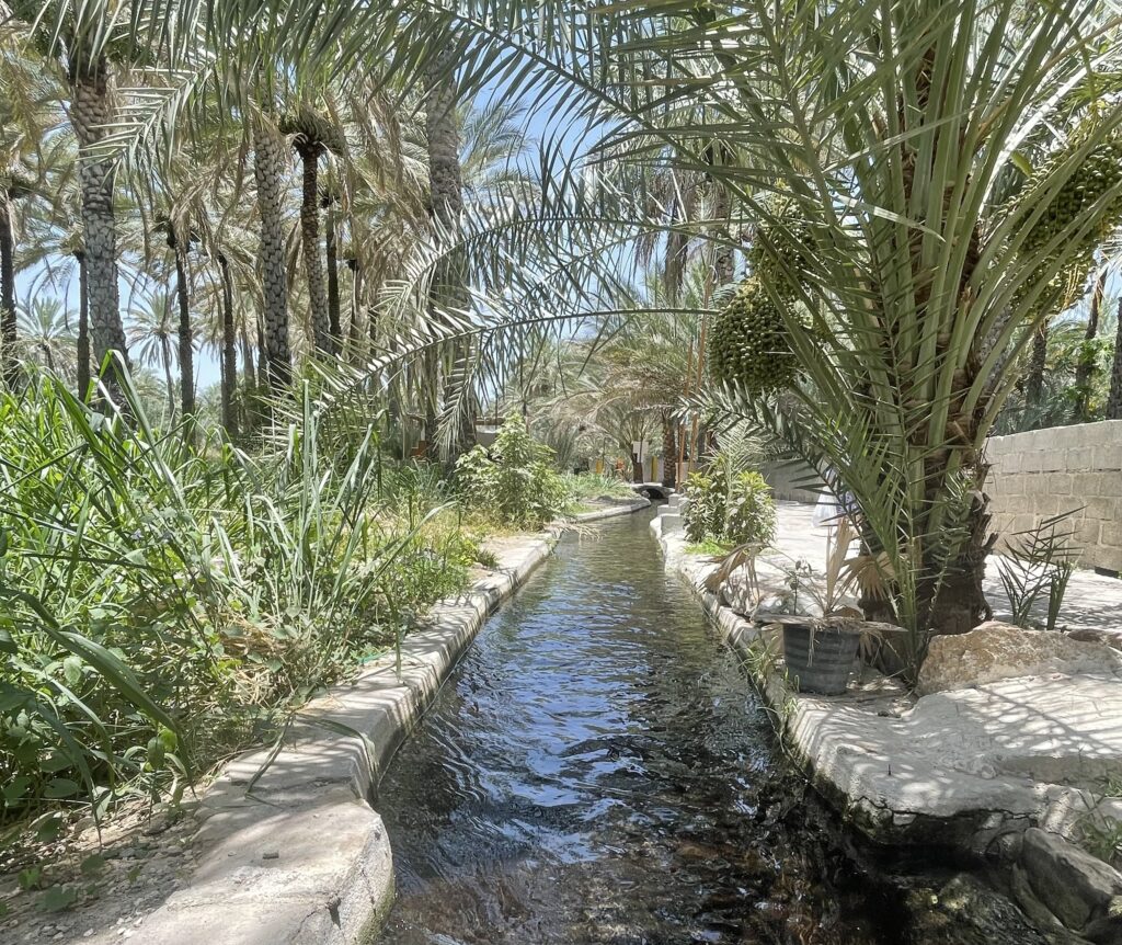 Suroor Village Heritage Trail